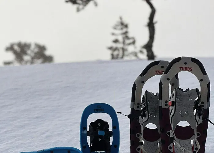 Premium By Reinsvatn With Scenic Views