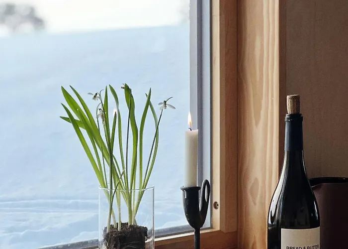 Premium By Reinsvatn With Scenic Views *