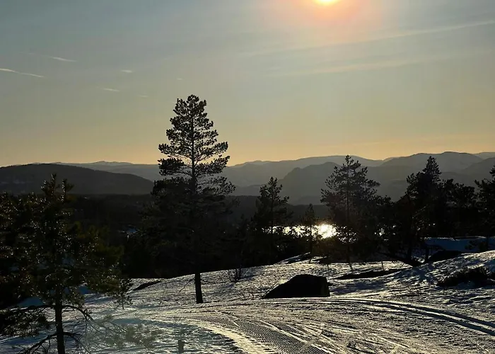 Premium By Reinsvatn With Scenic Views Σπίτι διακοπών Treungen