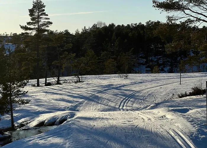 Σπίτι διακοπών Premium By Reinsvatn With Scenic Views Treungen