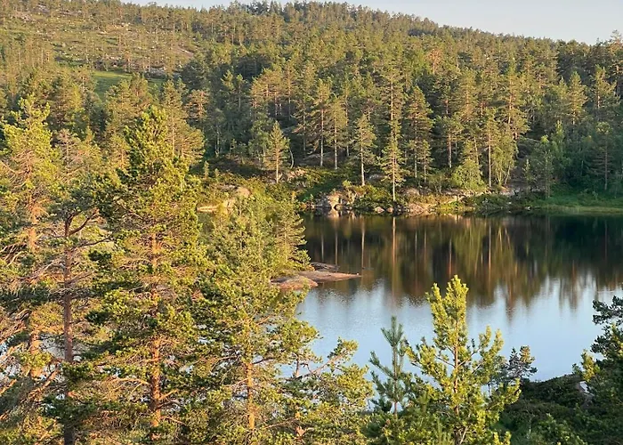 Premium By Reinsvatn With Scenic Views Σπίτι διακοπών Treungen