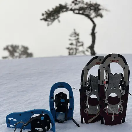 Premium By Reinsvatn With Scenic Views