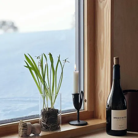 Premium By Reinsvatn With Scenic Views *