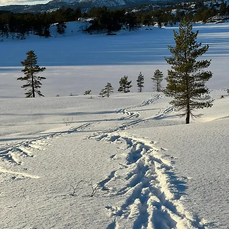 Premium By Reinsvatn With Scenic Views * Treungen