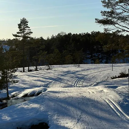 Vakantiehuis Premium By Reinsvatn With Scenic Views Treungen