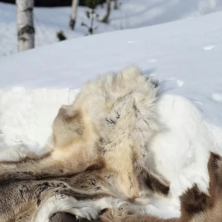 Premium By Reinsvatn With Scenic Views *