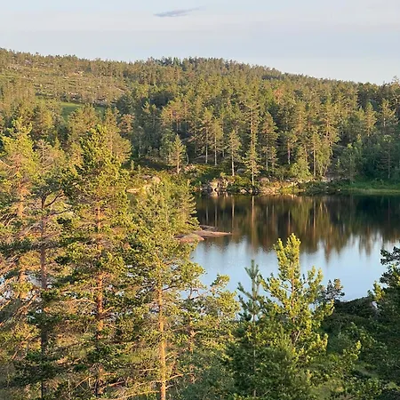 Premium By Reinsvatn With Scenic Views Vakantiehuis Treungen